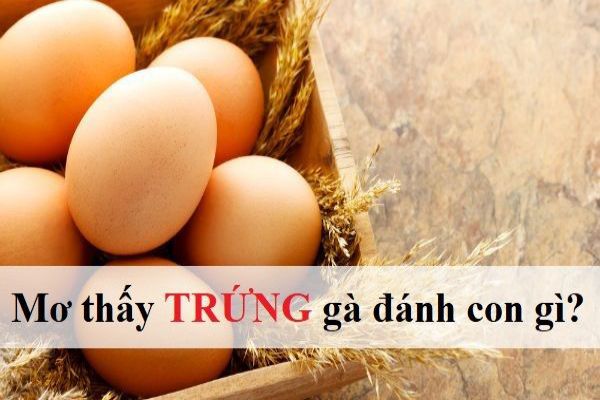 Nằm mơ thấy trứng gà có ý nghĩa gì?